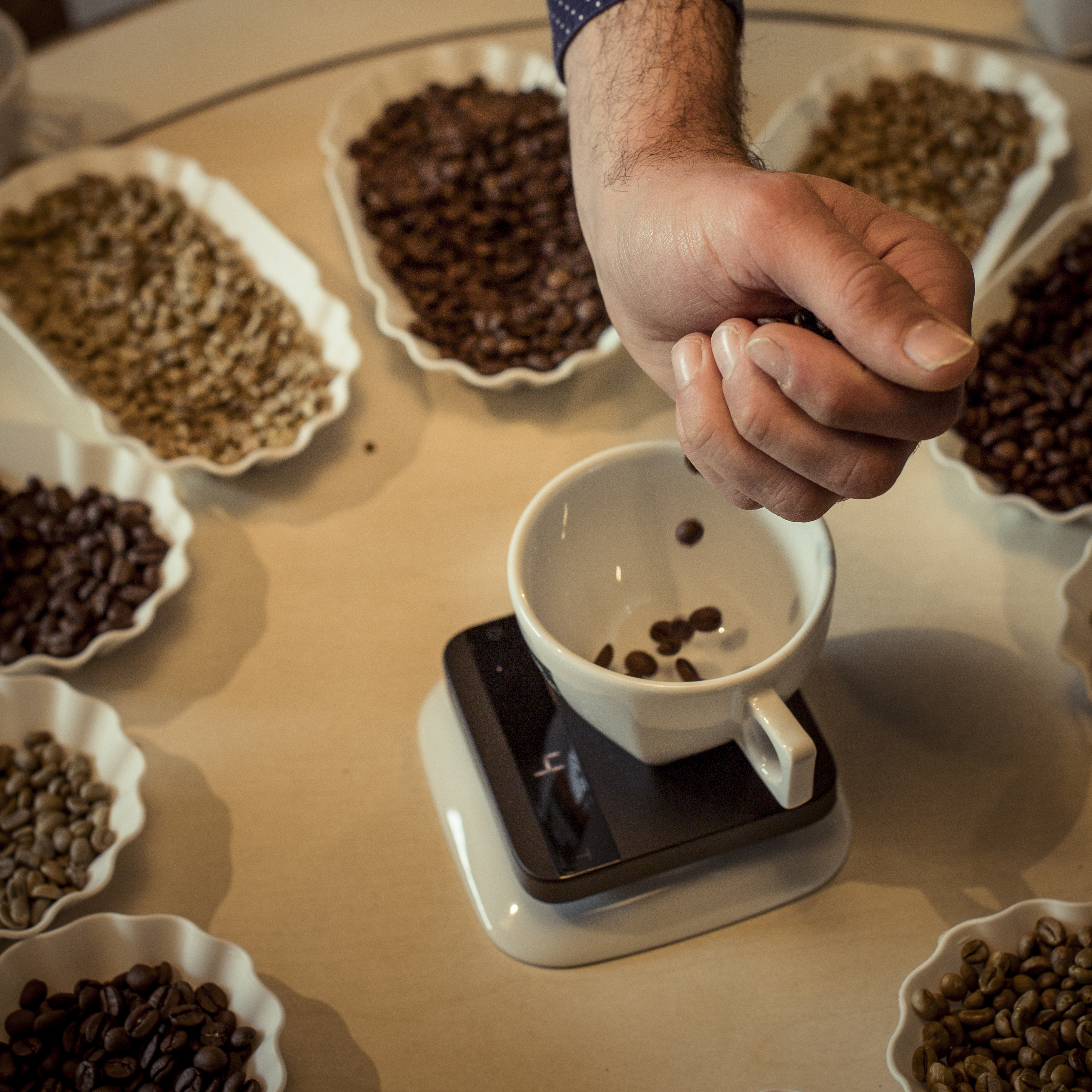 coffee selection and cupping
