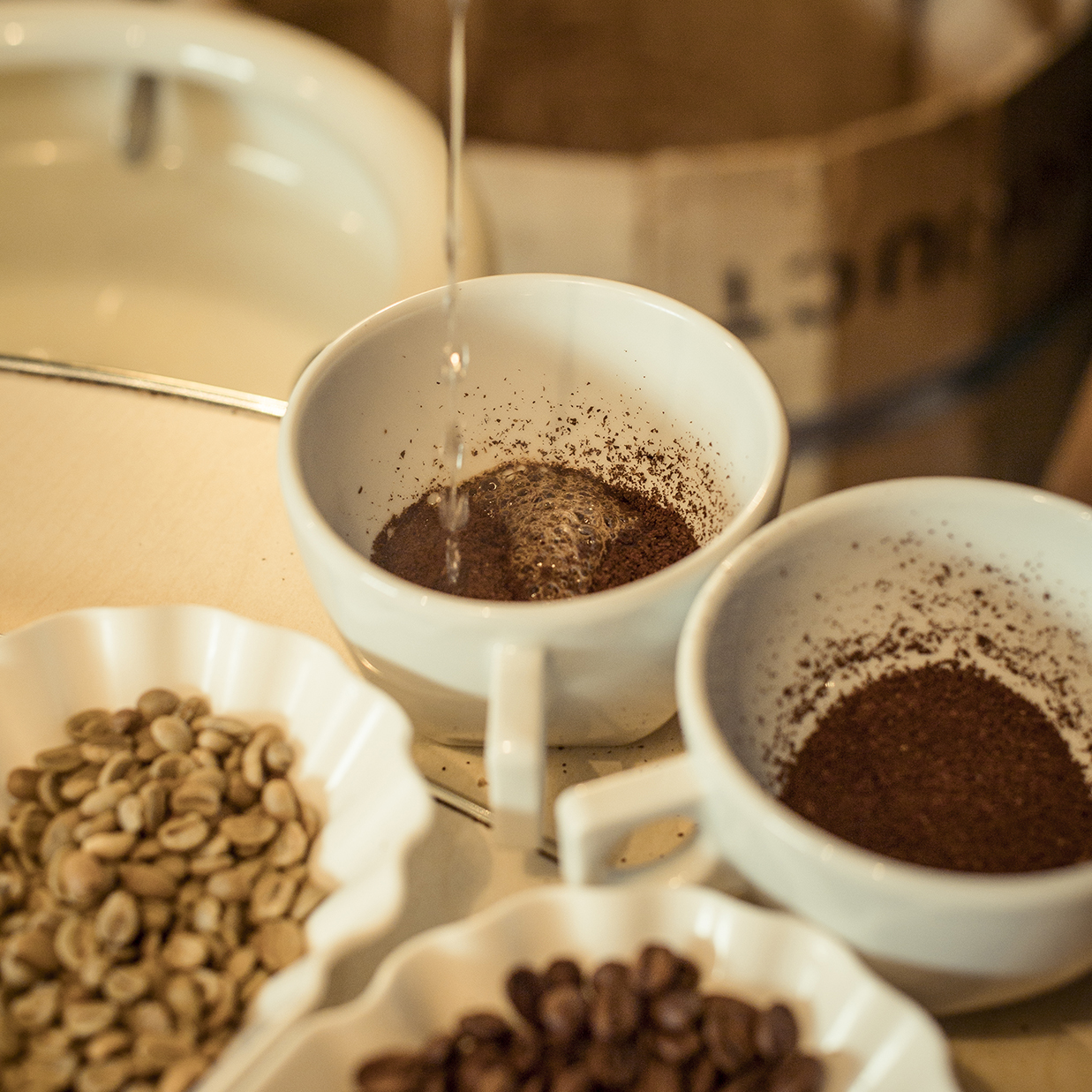 tasting of different coffees