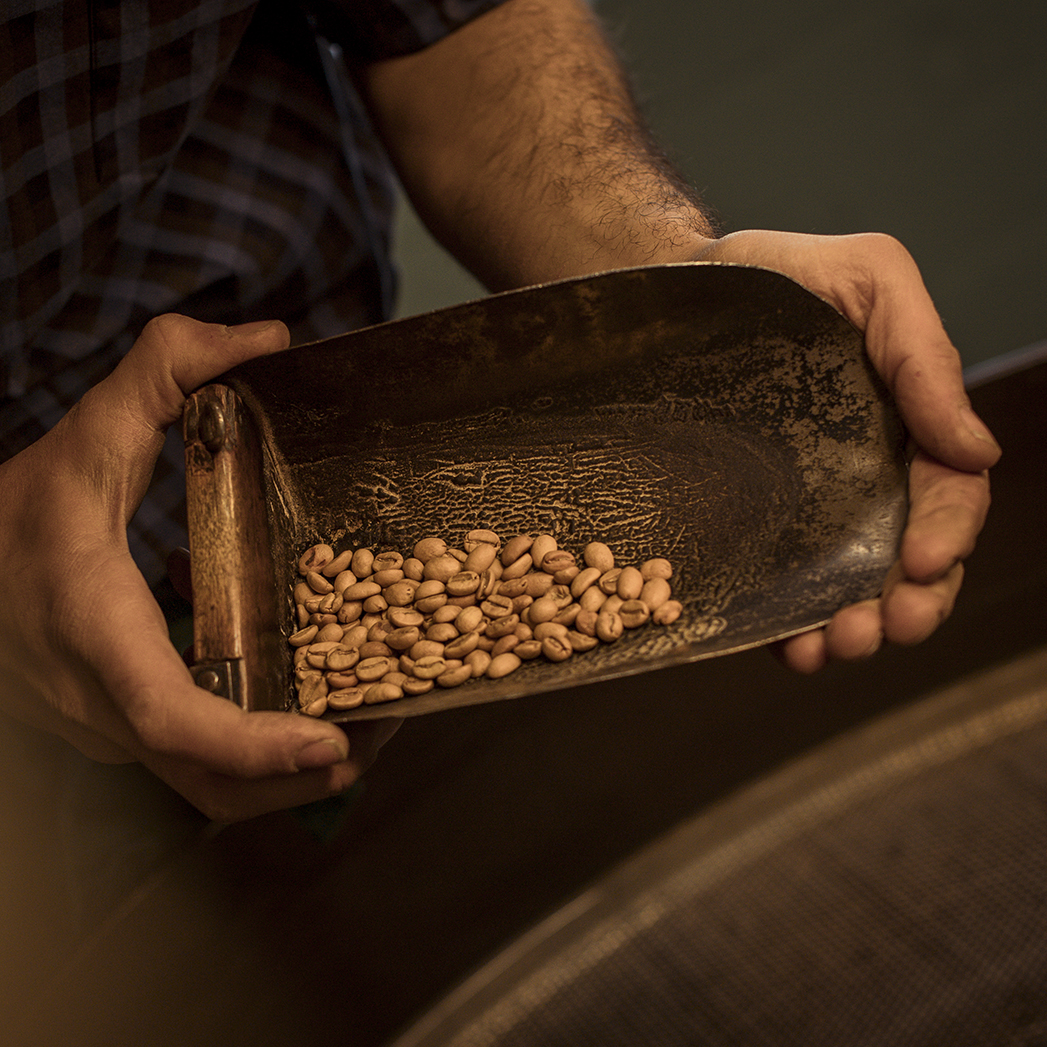 grains de café torréfié