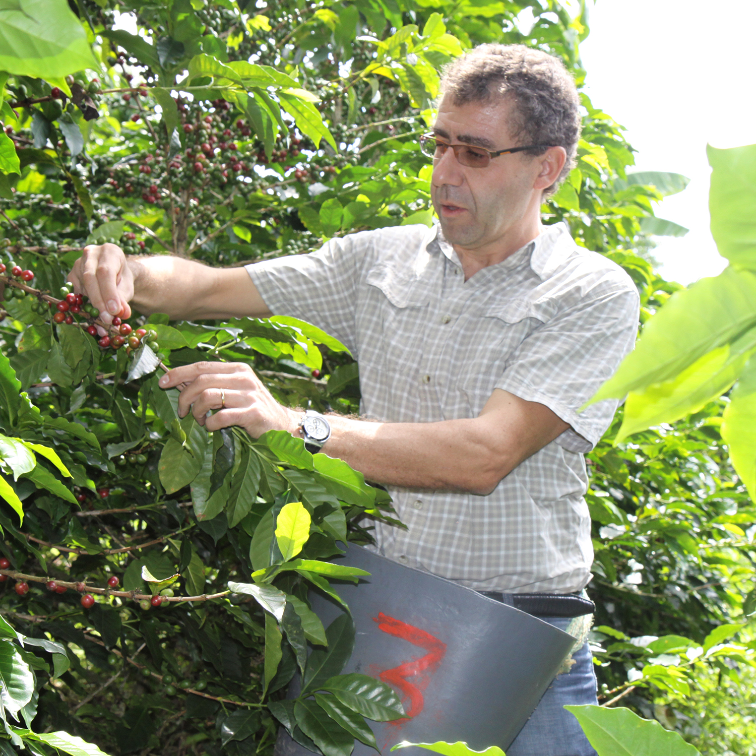 Michel Liégeois en Colombie au coeur des caféiers