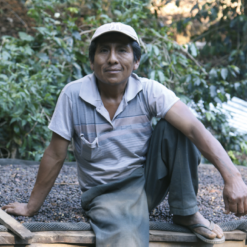 homme assis sur du café en Bolivie