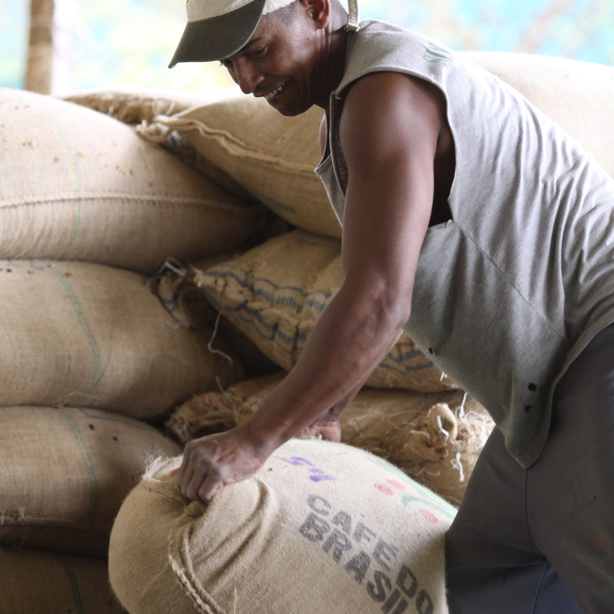 chargement de café au Brésil chargement de café au Brésil
