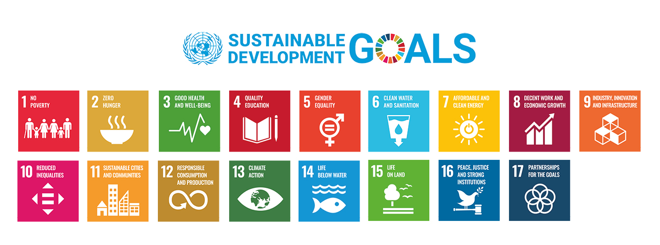 the 17 sustainable development goals