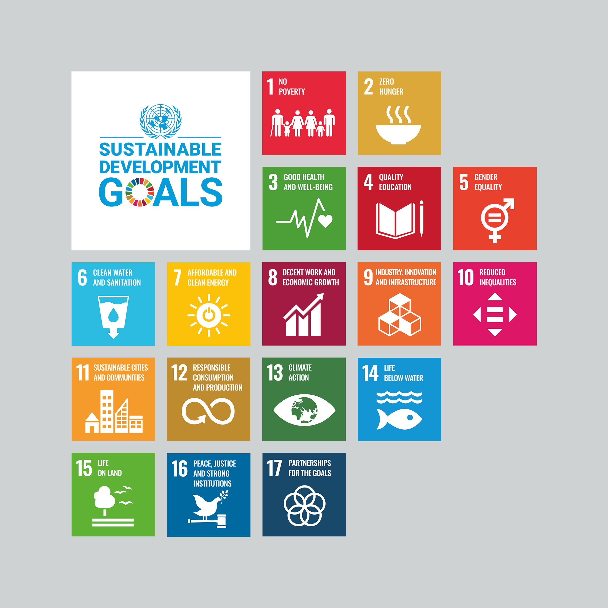 17 Duurzame Ontwikkelingsdoelstellingen