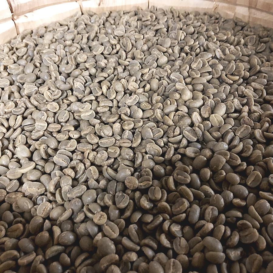 green coffee beans before roasting