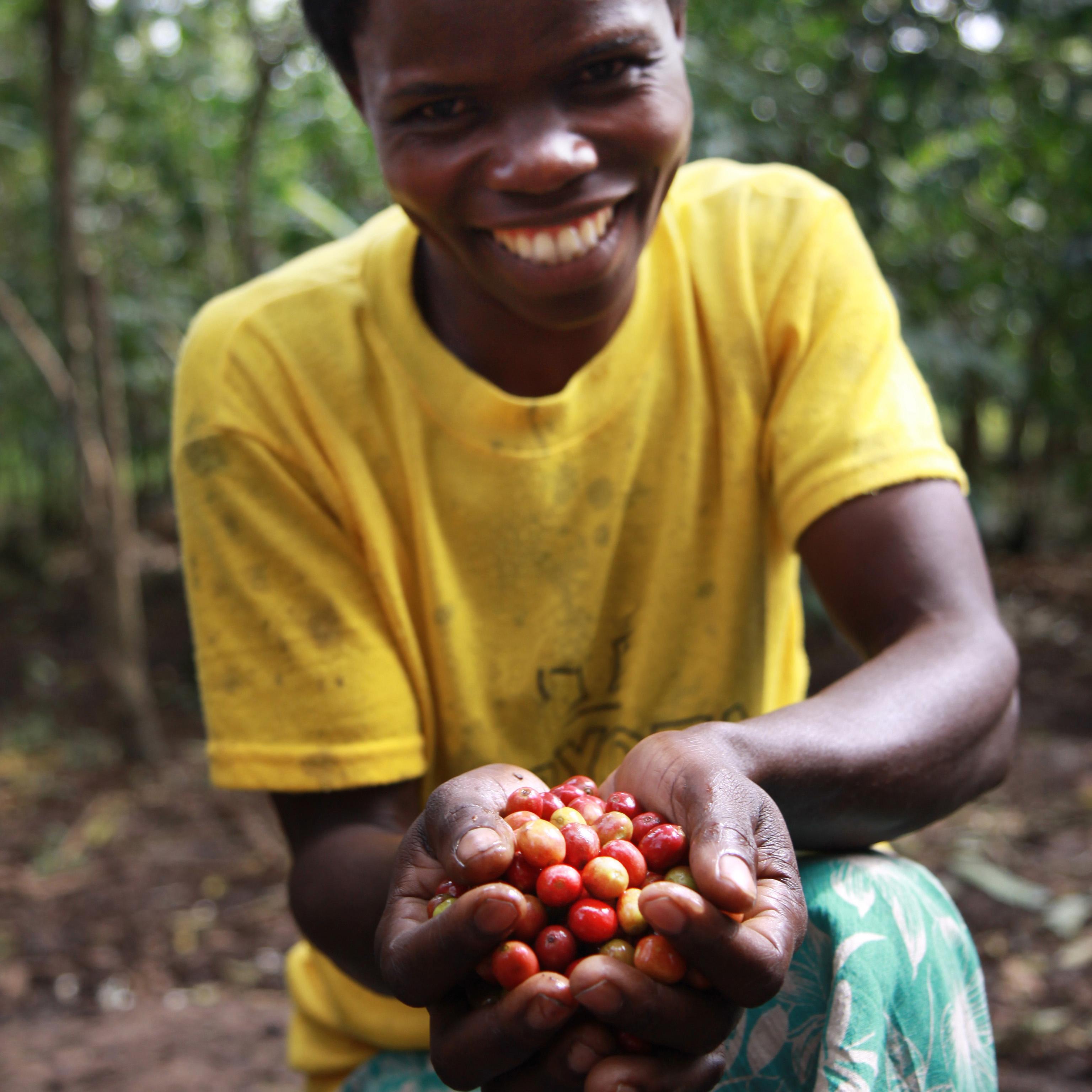 man met koffiekersen in zijn handen in Kivu