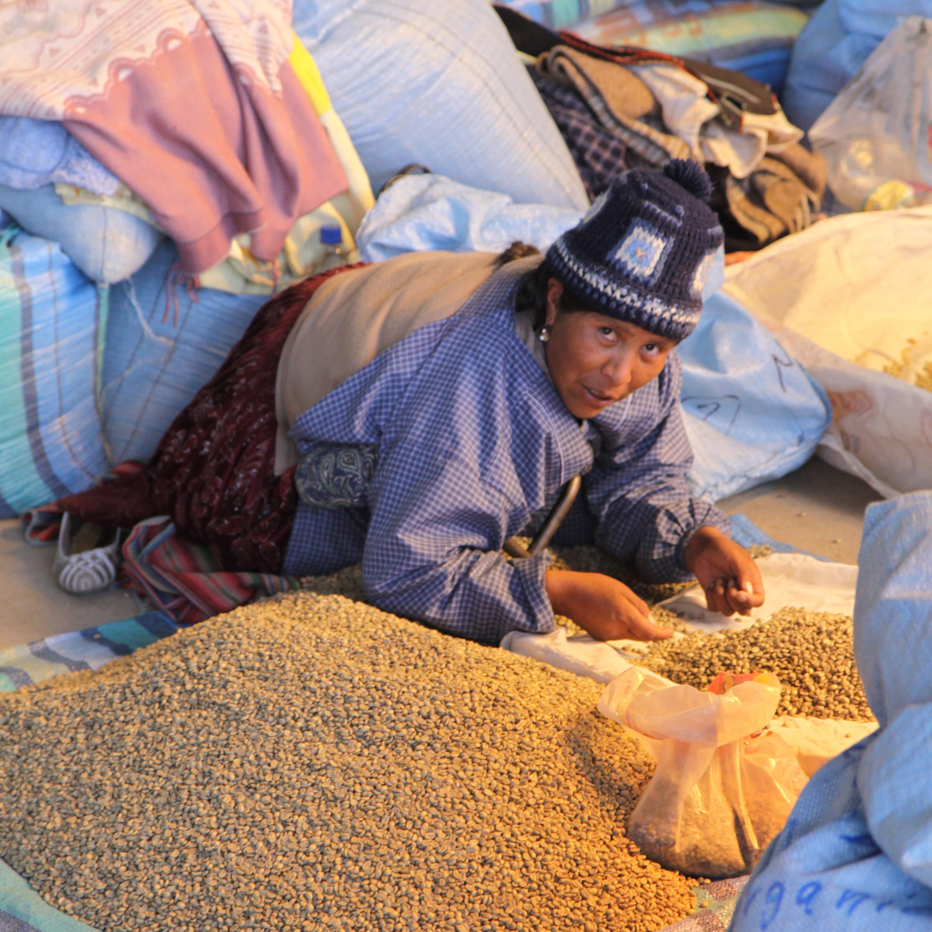 woman sorting coffee beans in bolivia