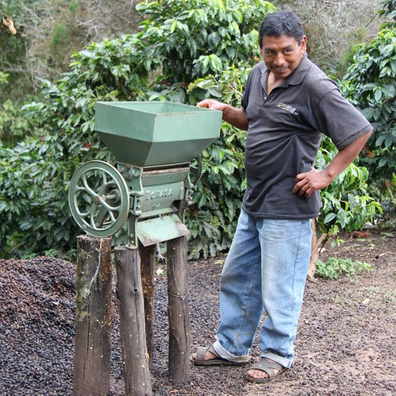 Dépulpeuse de grains de café dans la région du Chiapas